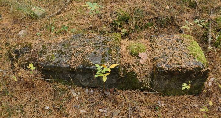  - Кладбище еврейское. 