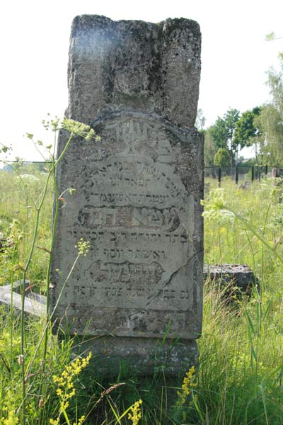 Stoŭbcy |  cemetery Jewish. The tomb