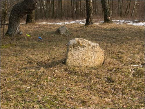 Лоша. Кладбище еврейское