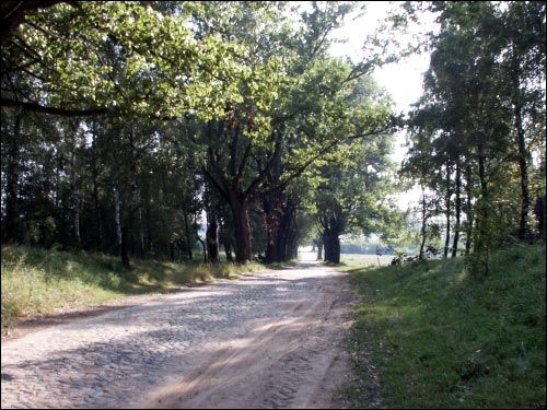 Daŭbieni. Landscapes 