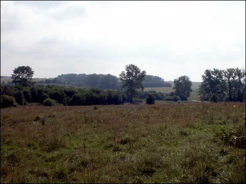 Daŭbieni. Landscapes 