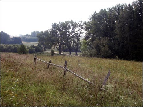 Daŭbieni. Landscapes 