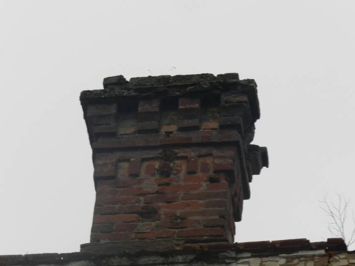 Вялое (Рудня) |  Дворцово-парковый ансамбль Тышкевичей. 