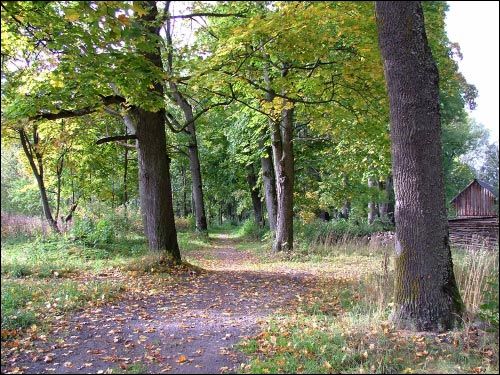 Viazyń. Manor of Giacevič