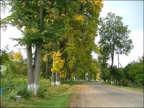Viazyń. Manor of Giacevič