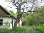 Sihnievičy.  Manor 