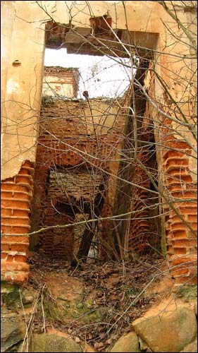 Čyrvonaja Dubrava (Makrany). Manor of Woyniłłowicz