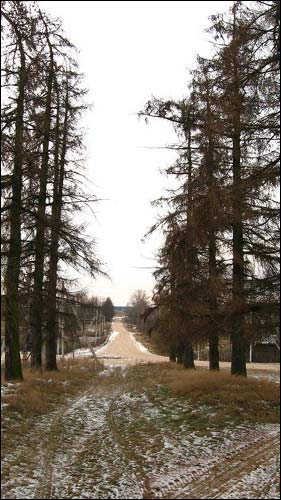 Čyrvonaja Dubrava (Makrany). The tomb of Woyniłłowicz
