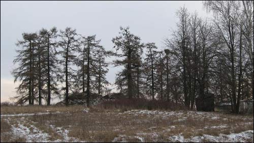 Čyrvonaja Dubrava (Makrany). The tomb of Woyniłłowicz