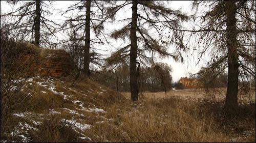 Čyrvonaja Dubrava (Makrany). The tomb of Woyniłłowicz