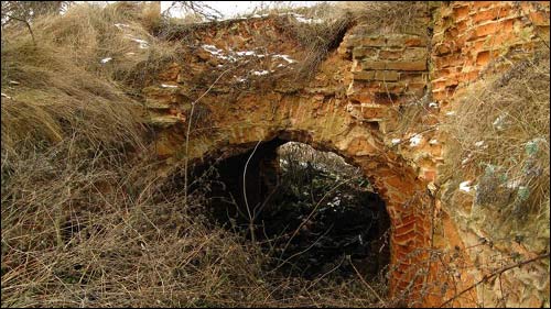 Čyrvonaja Dubrava (Makrany). The tomb of Woyniłłowicz