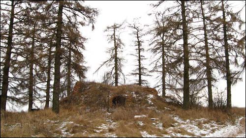 Čyrvonaja Dubrava (Makrany).  The tomb of Woyniłłowicz