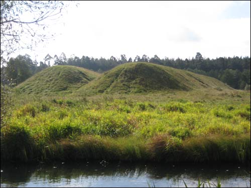 Раков |  Городище . 