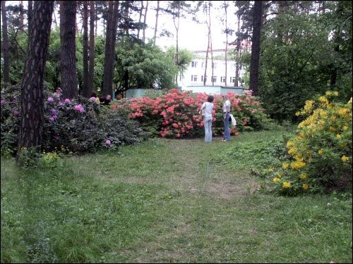 Mińsk |   Sad botaniczny. Fragment ogrodu