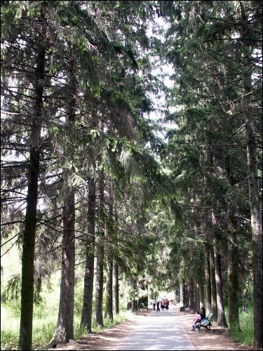 Mińsk |   Sad botaniczny. Aleja