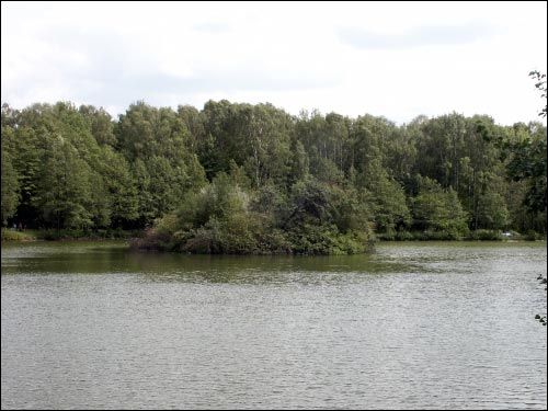 Mińsk |   Sad botaniczny. Sadzawka