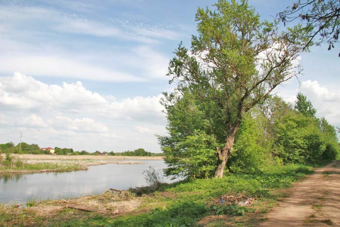  - Приусадебный парк . На окраине парка