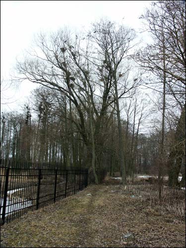 Pokrašava. Manor park 