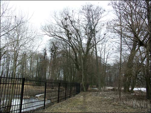 Pokrašava. Manor park 