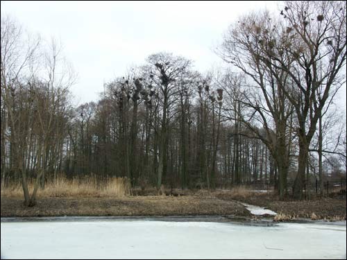 Покрашава.  Прысядзібны парк 