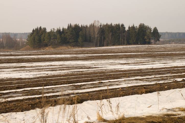 Dołhinów. Cmentarz stary żydowski
