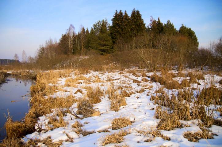 Dołhinów. Cmentarz stary żydowski