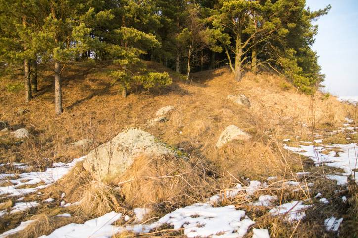 Dołhinów. Cmentarz stary żydowski