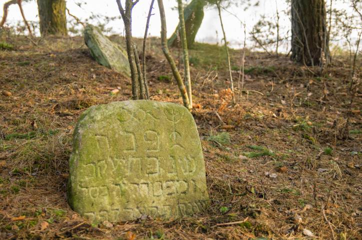 Dołhinów. Cmentarz stary żydowski