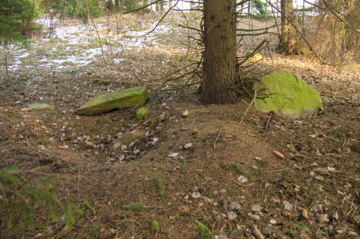 Dołhinów. Cmentarz stary żydowski