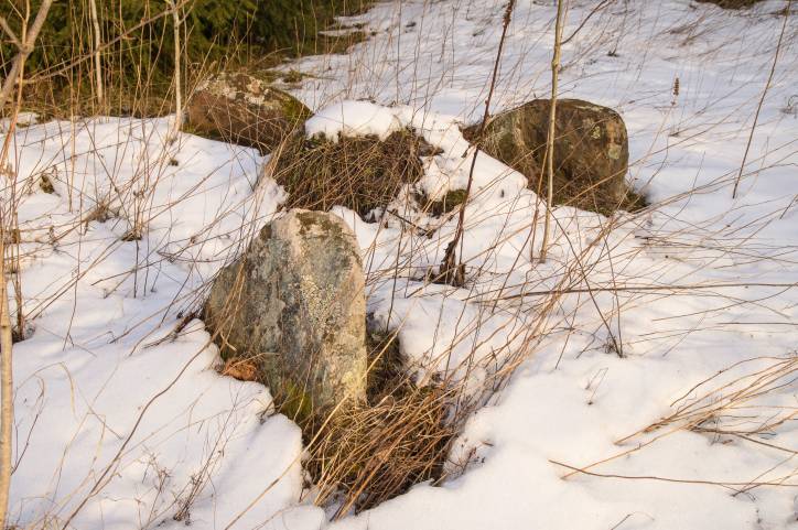 Dołhinów. Cmentarz stary żydowski