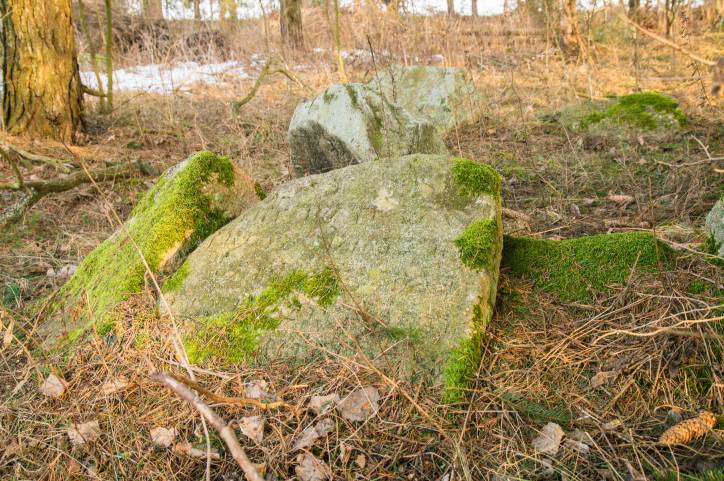 Dołhinów. Cmentarz stary żydowski