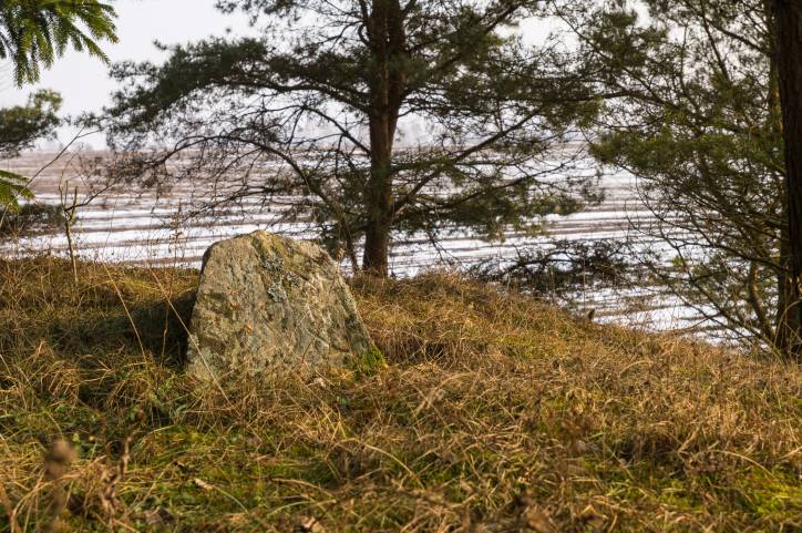 Dołhinów. Cmentarz stary żydowski