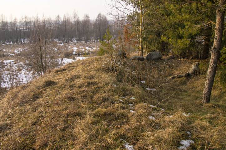 Dołhinów. Cmentarz stary żydowski