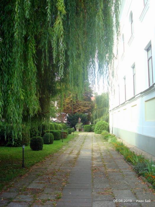  - Костёл Воздвижения Креста Господня. Около костёла