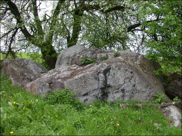 Kuraniec. Landscapes 