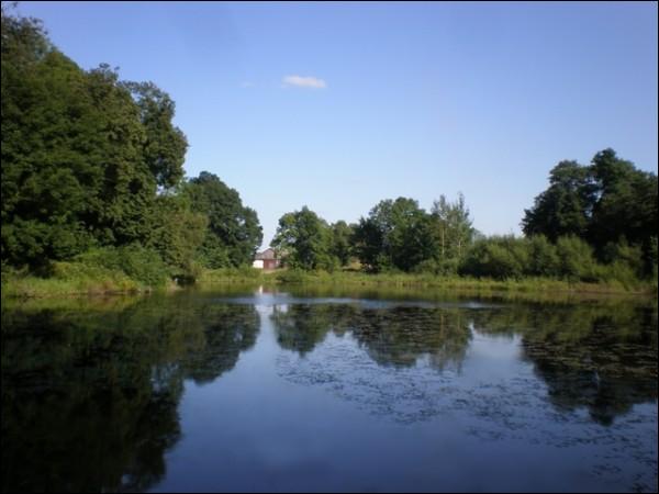 Taŭkačevičy. Manor park 