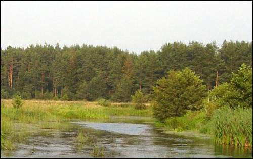 Vialacičy. Landscapes 