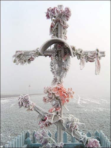 Дунайчицы.  Пейзажи 