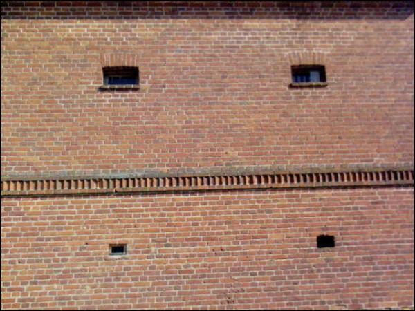 Фальваркавая пабудова (фрагмент) Забашавічы. Гаспадарчы двор