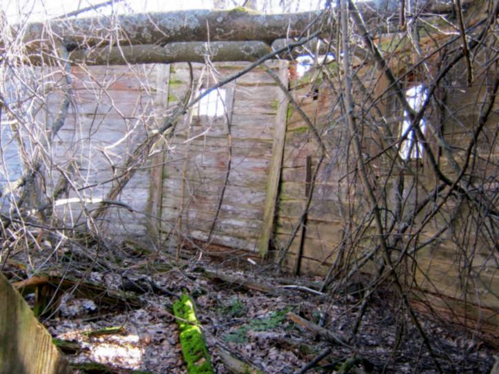 Капліца могілкавая (руіны) Сяльцы.   - Капліца могілкавая (руіны).