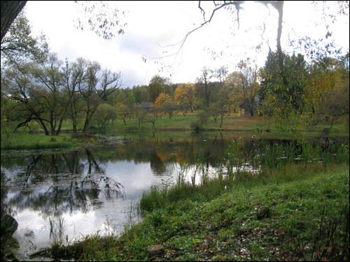 Сажалка пры сядзібе Вязынка. Музей Янкі Купалы