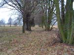 Jackavičy.  Manor park 