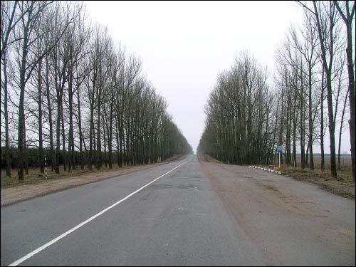 Vialiki Dvor (Harodziaj). Landscapes 