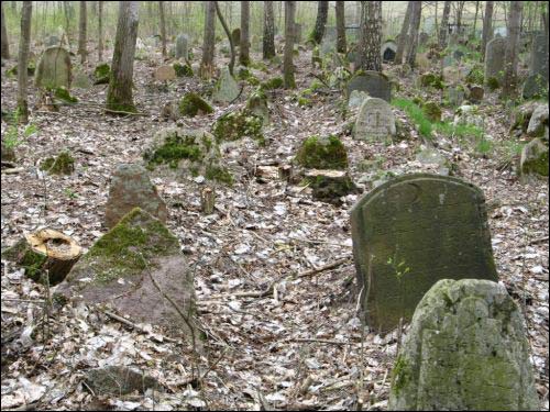 Śmiłowicze. Cmentarz tatarski (Mizer)