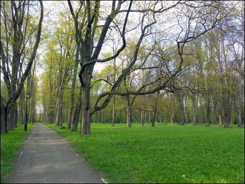 Nieśwież. Park Stary