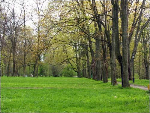 Nieśwież. Park Stary