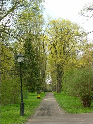 Nieśwież. Park Stary