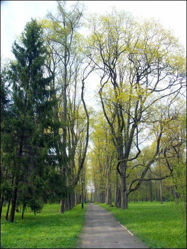 Nieśwież. Park Stary