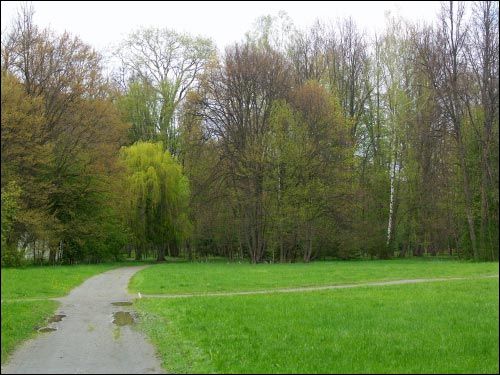 Nieśwież. Park Stary