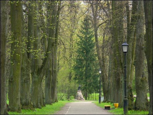 Nieśwież. Park Stary